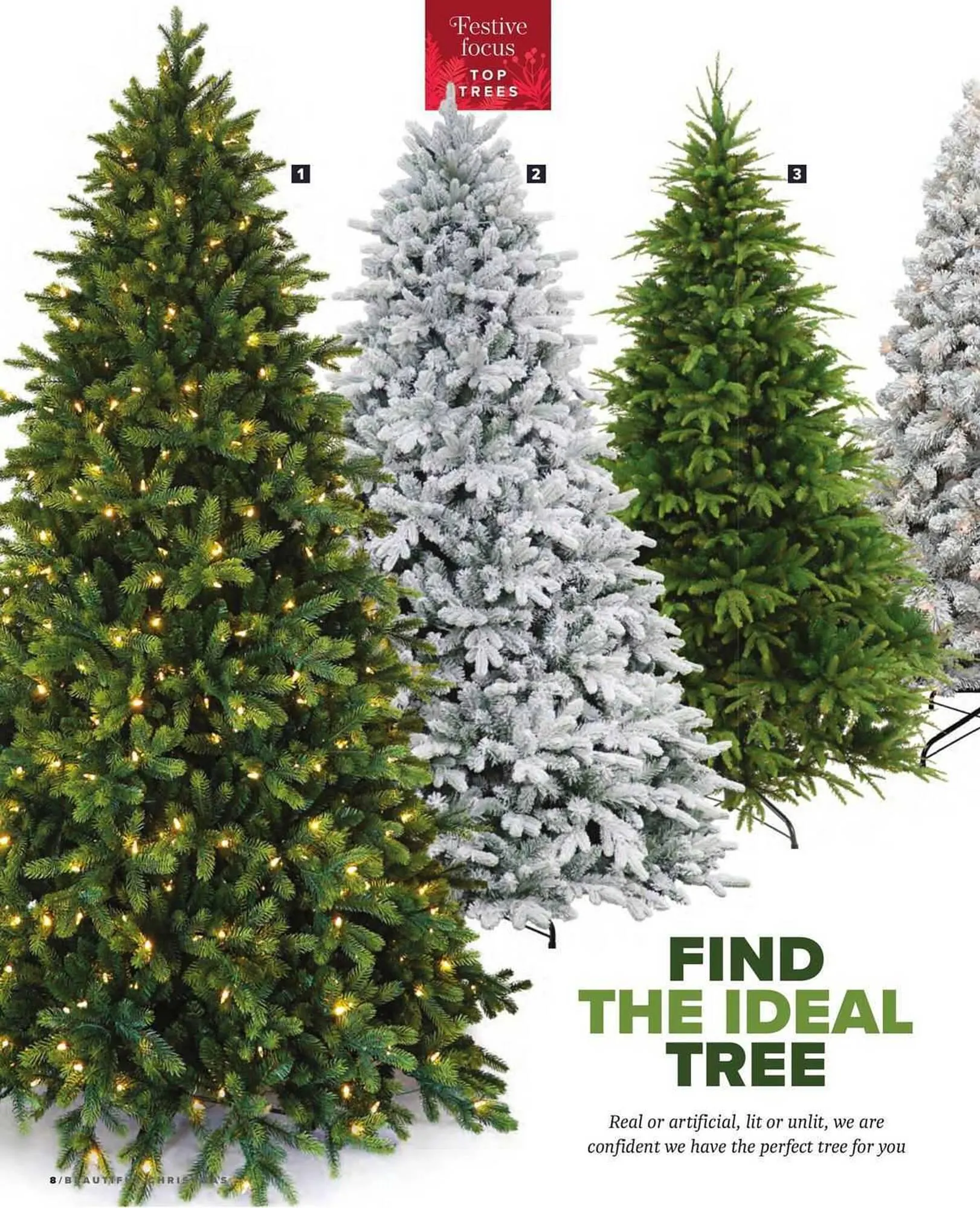 Squires Garden Centres leaflet from 26 October to 24 December 2023 - Catalogue Page 8