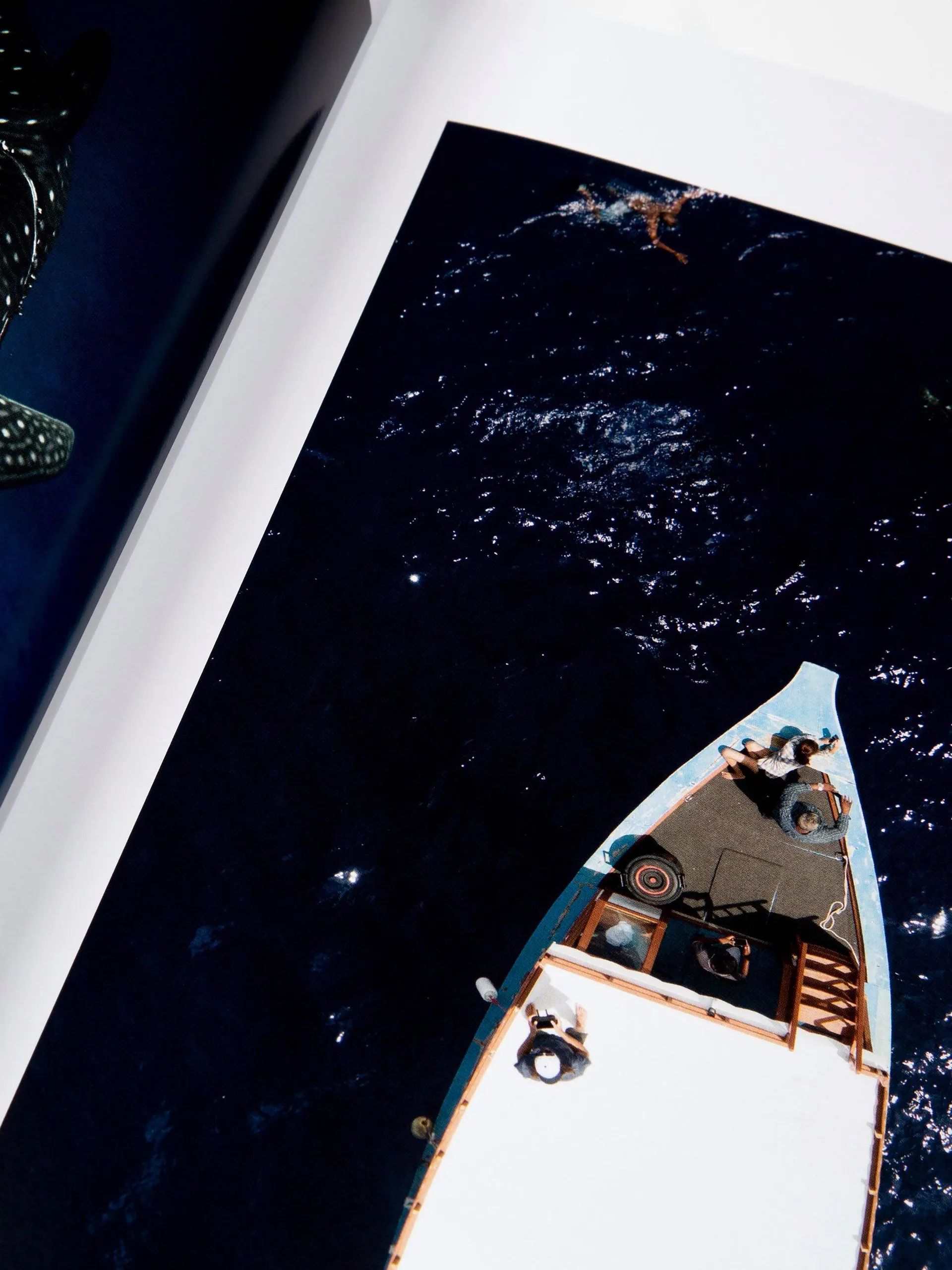 Oceanographic, Issue 20