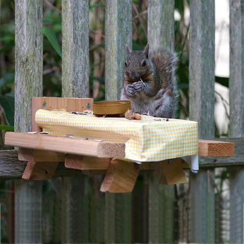 Wall Picnic Table Feeder