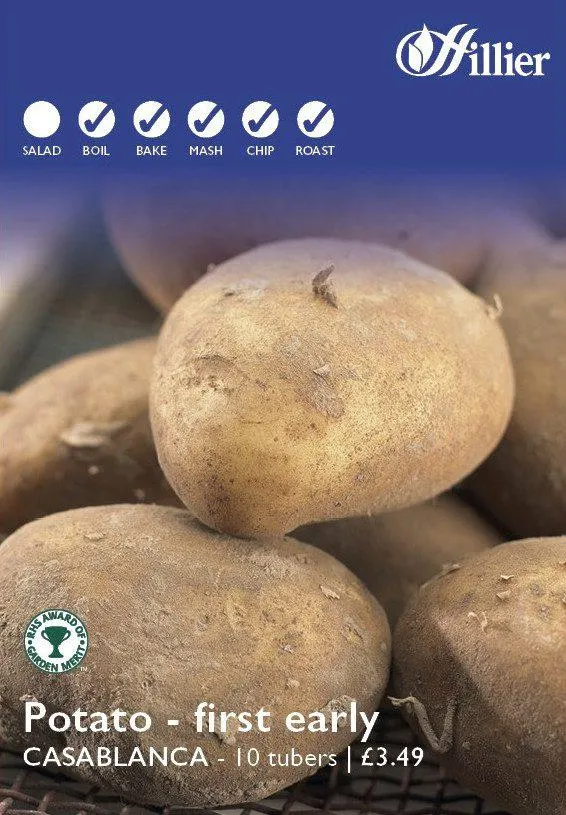 Casablanca Seed Potatoes