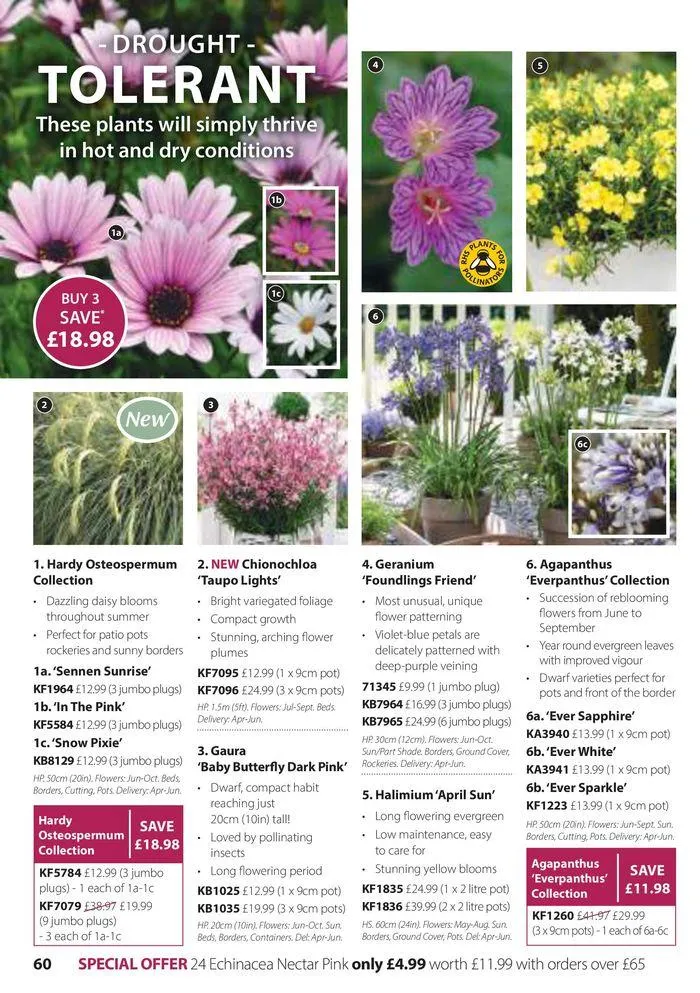Spring Sale Catalogue from 2 May to 31 May 2024 - Catalogue Page 60