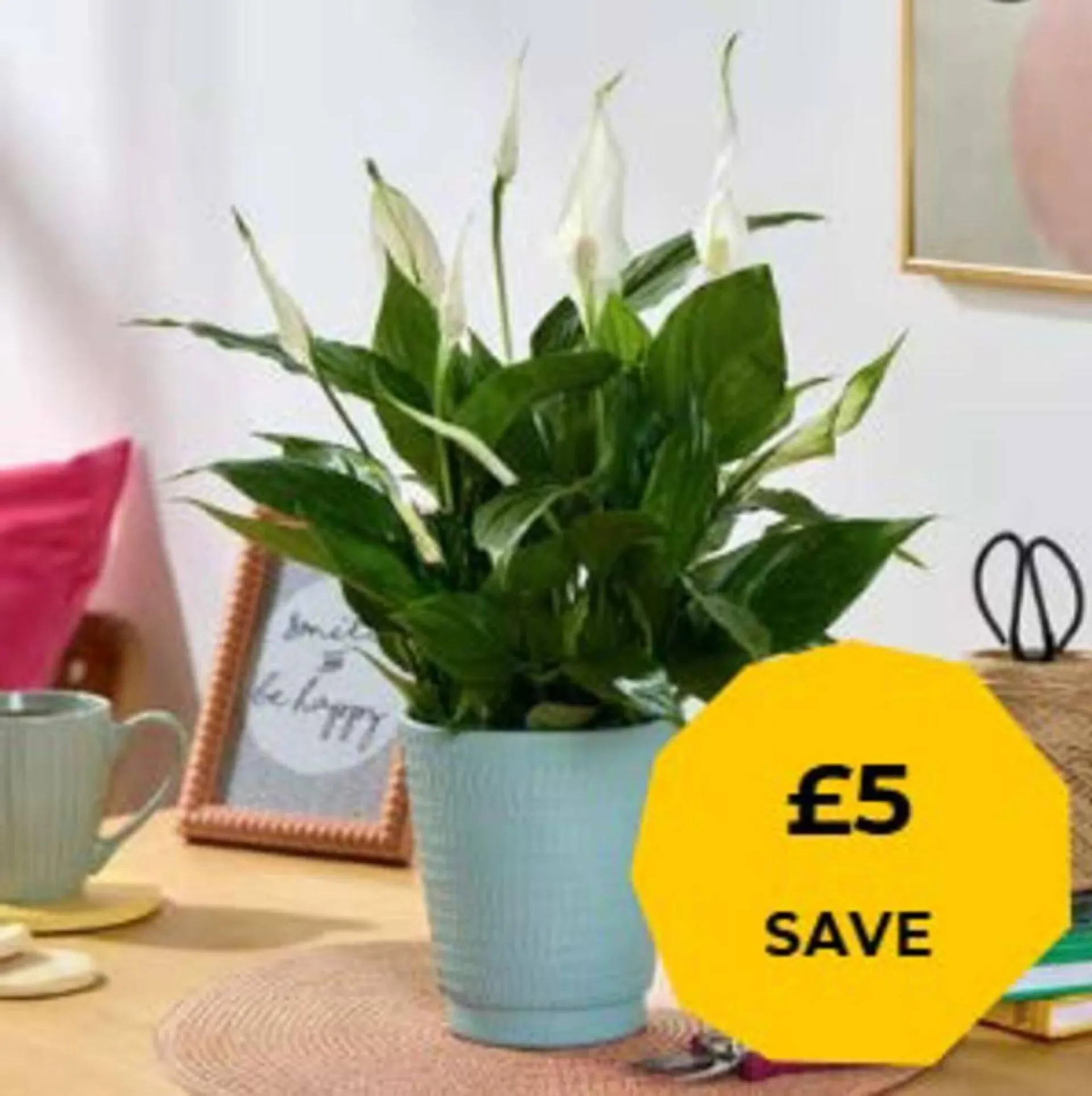 Flying Flowers leaflet from 26 December to 31 December 2025 - Catalogue Page 1