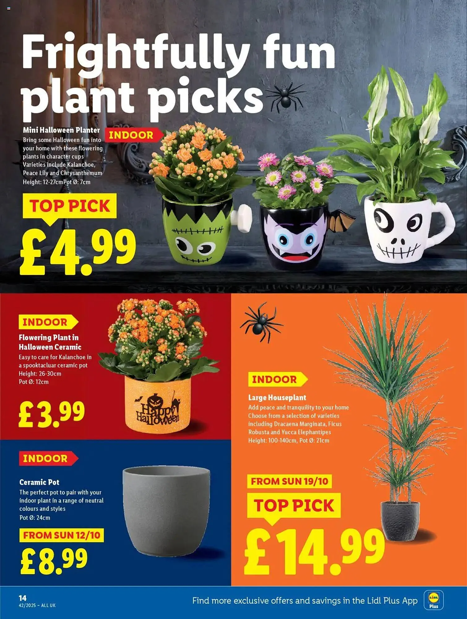 Lidl leaflet from 16 October to 23 October 2025 - Catalogue Page 14