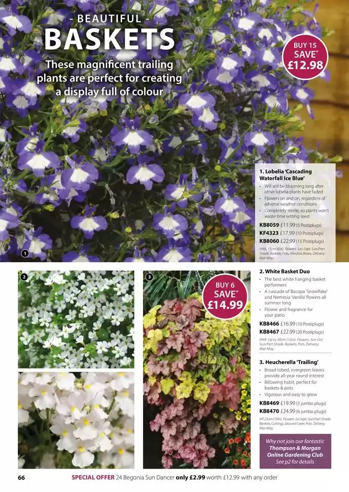 The Spring Catalogue from 20 March to 31 May 2025 - Catalogue Page 66