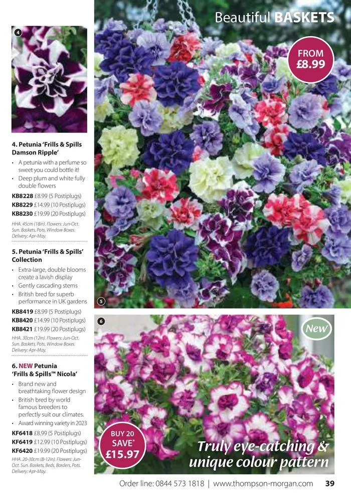 Spring Sale Catalogue from 2 May to 31 May 2024 - Catalogue Page 39