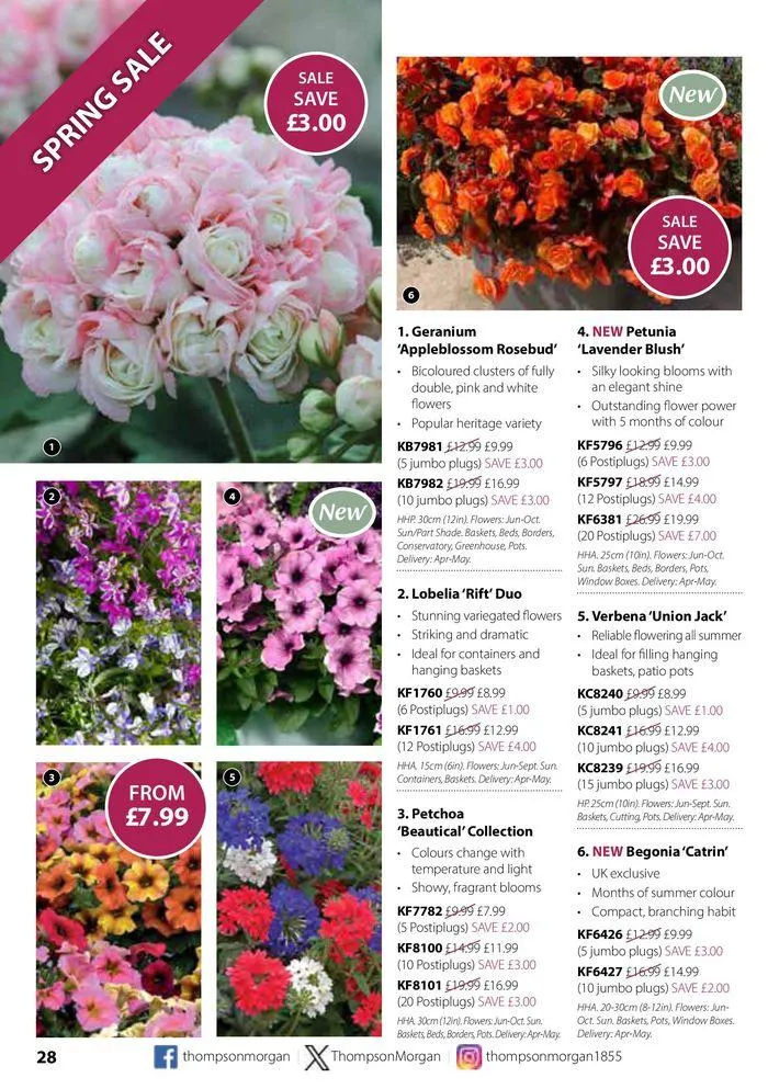 Spring Sale Catalogue from 2 May to 31 May 2024 - Catalogue Page 28
