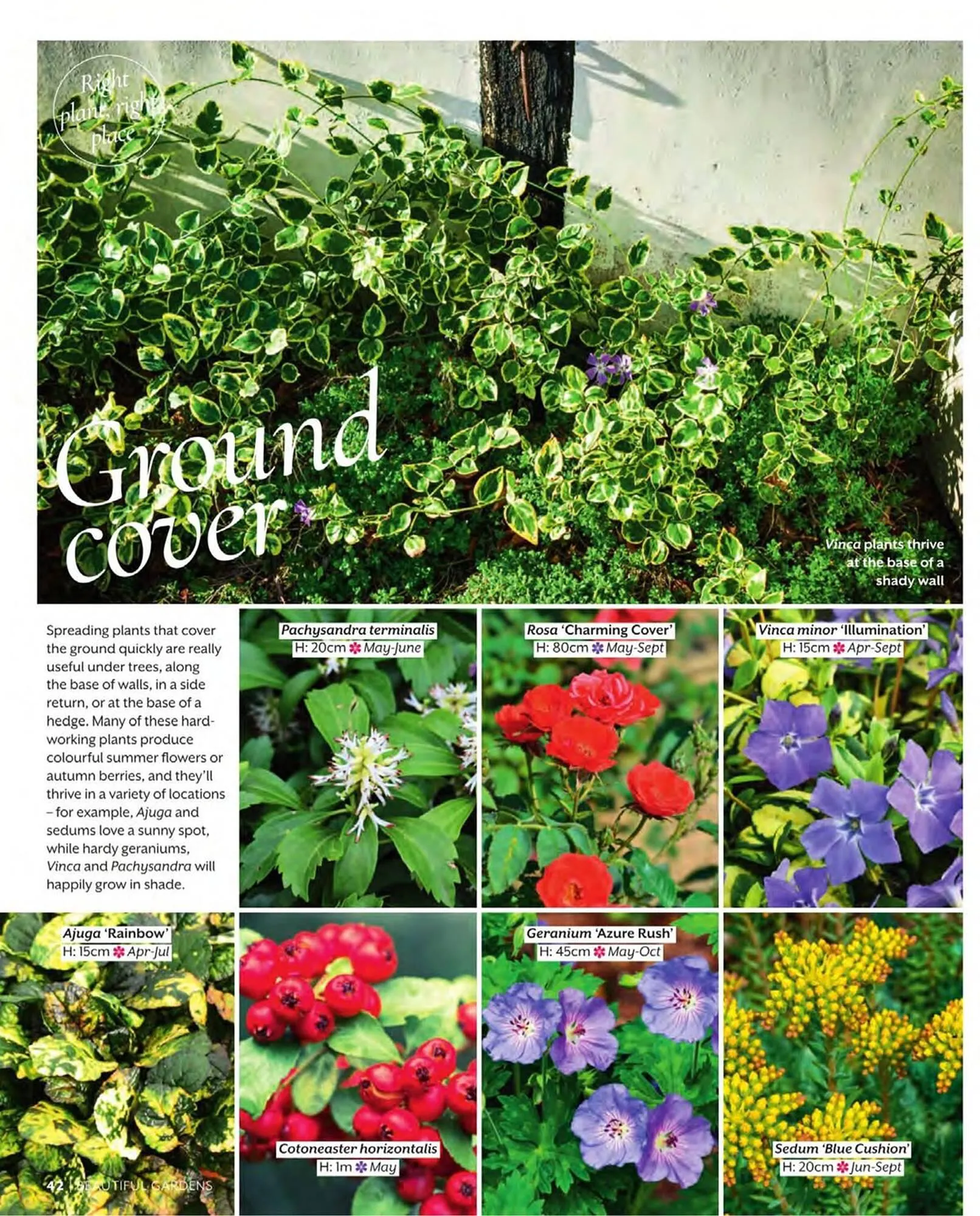 Squires Garden Centres leaflet from 1 March to 31 May 2024 - Catalogue Page 42