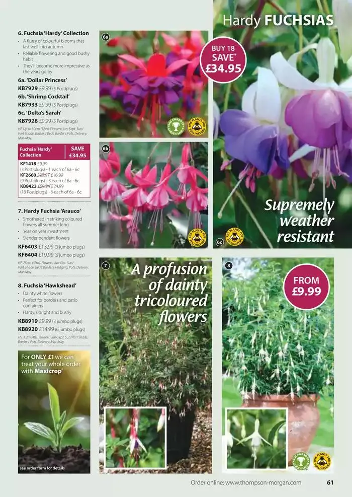 The Spring Catalogue from 20 March to 31 May 2025 - Catalogue Page 61