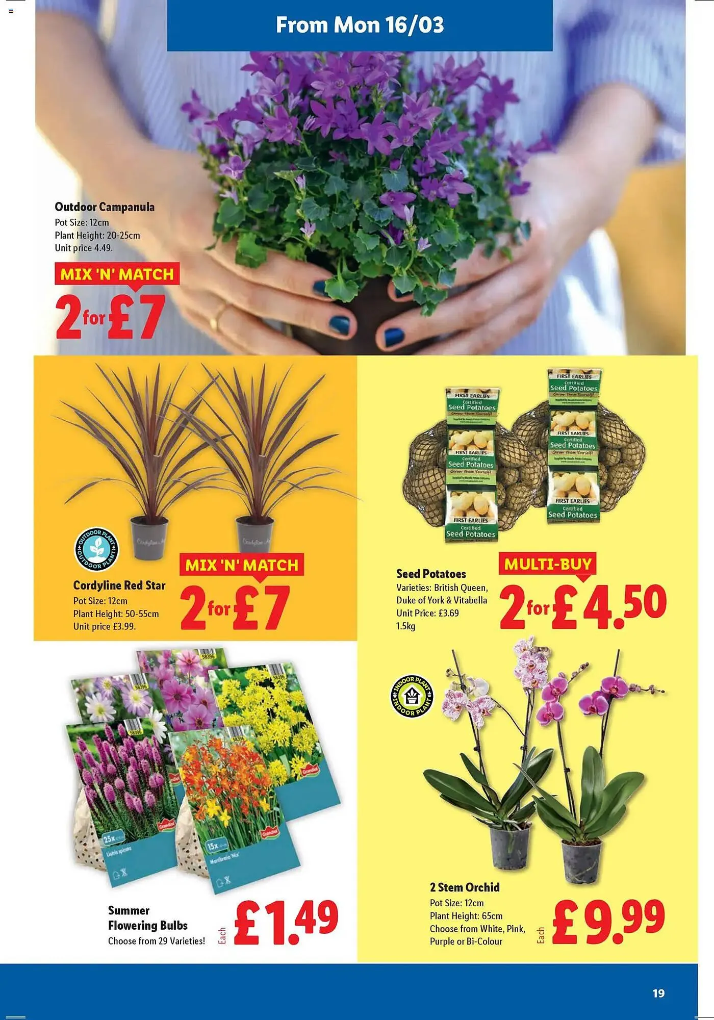 Lidl leaflet from 12 March to 19 March 2026 - Catalogue Page 19