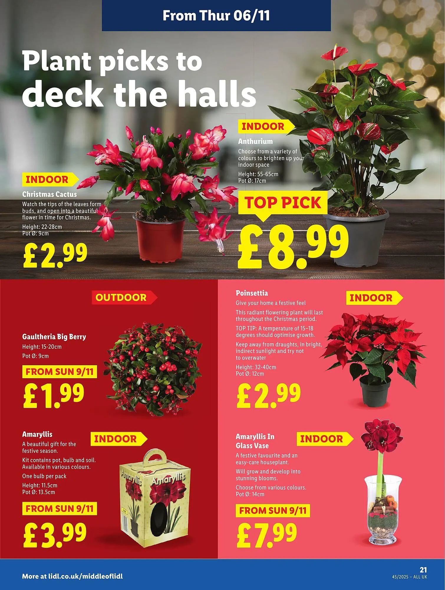 Lidl leaflet from 30 October to 5 November 2025 - Catalogue Page 23