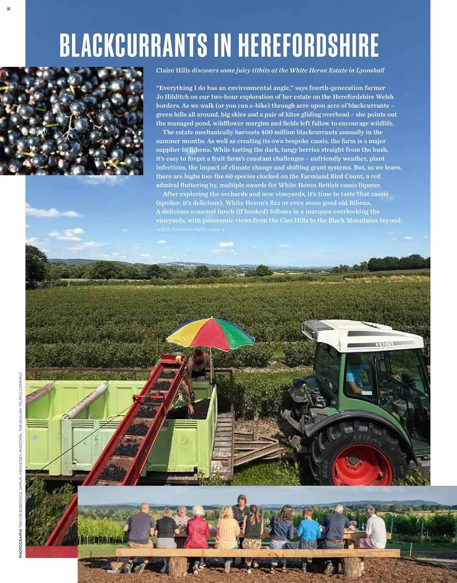 Waitrose leaflet from 1 September to 1 October 2025 - Catalogue Page 89