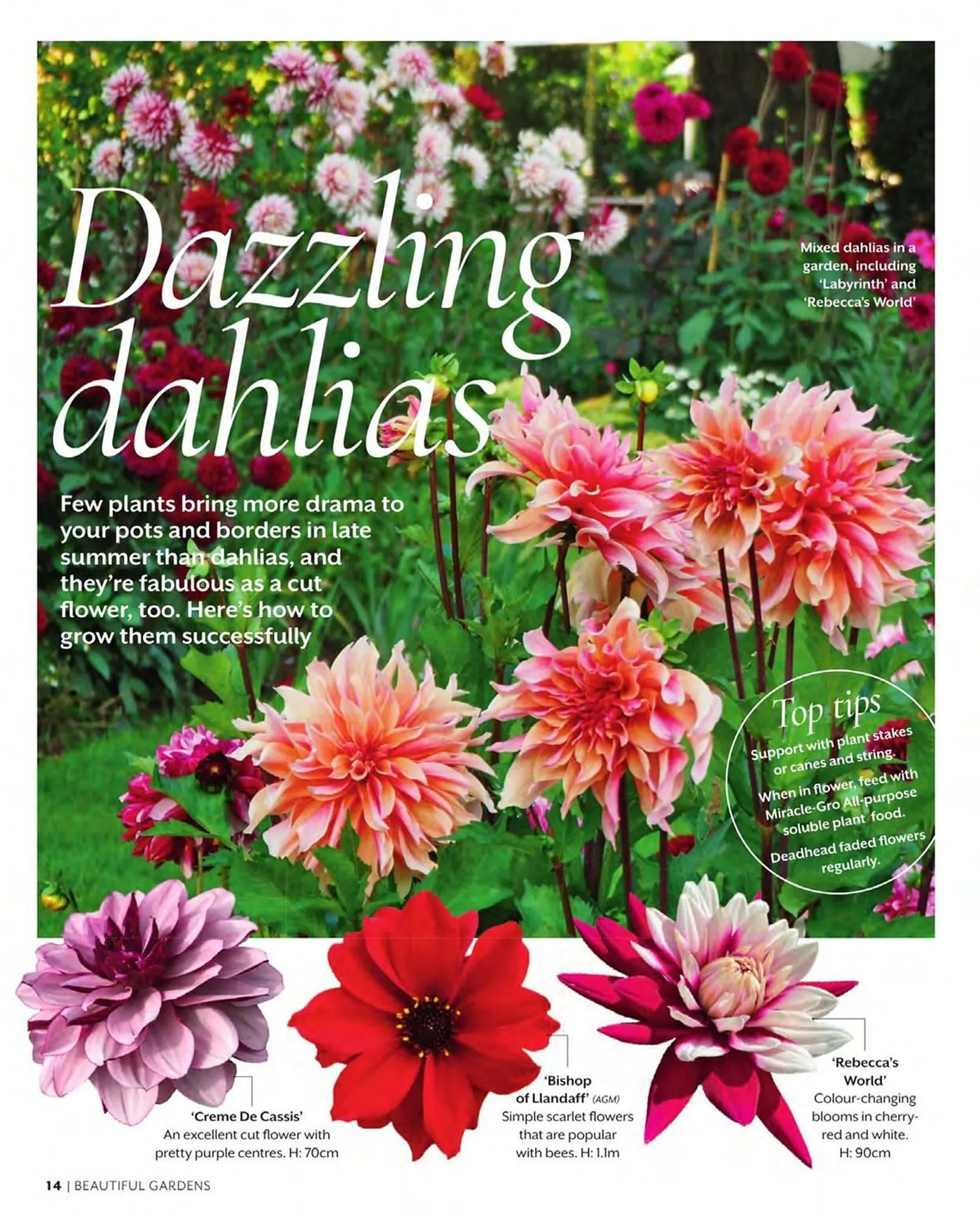 Squires Garden Centres leaflet from 1 March to 31 May 2024 - Catalogue Page 14