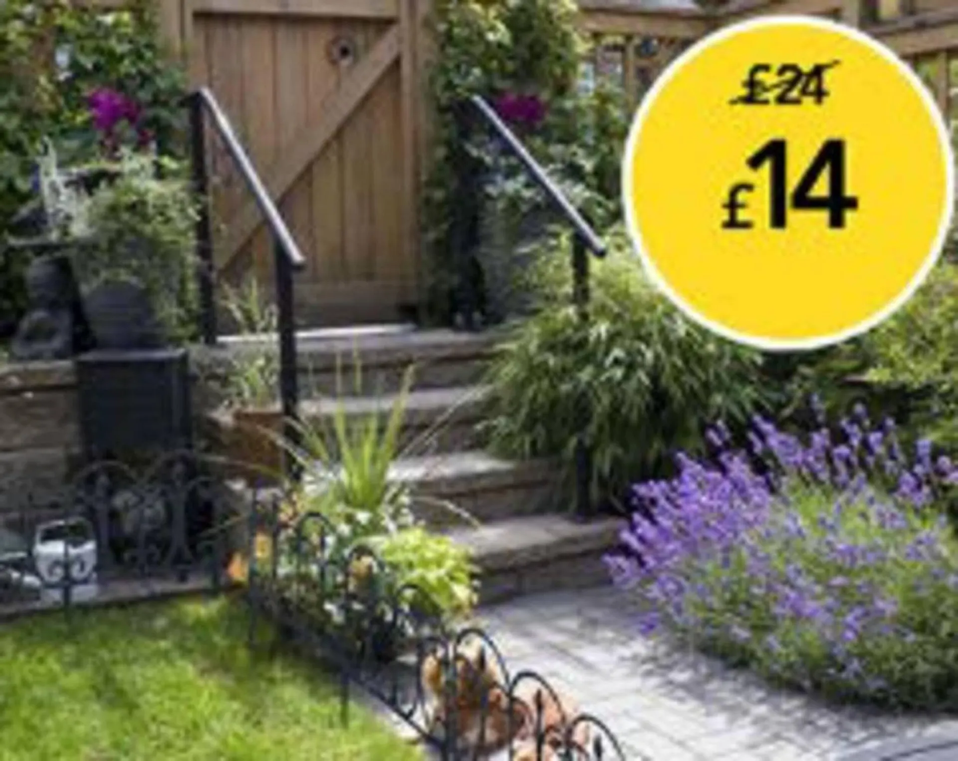 Wilko leaflet from 29 January to 27 February 2026 - Catalogue Page 2