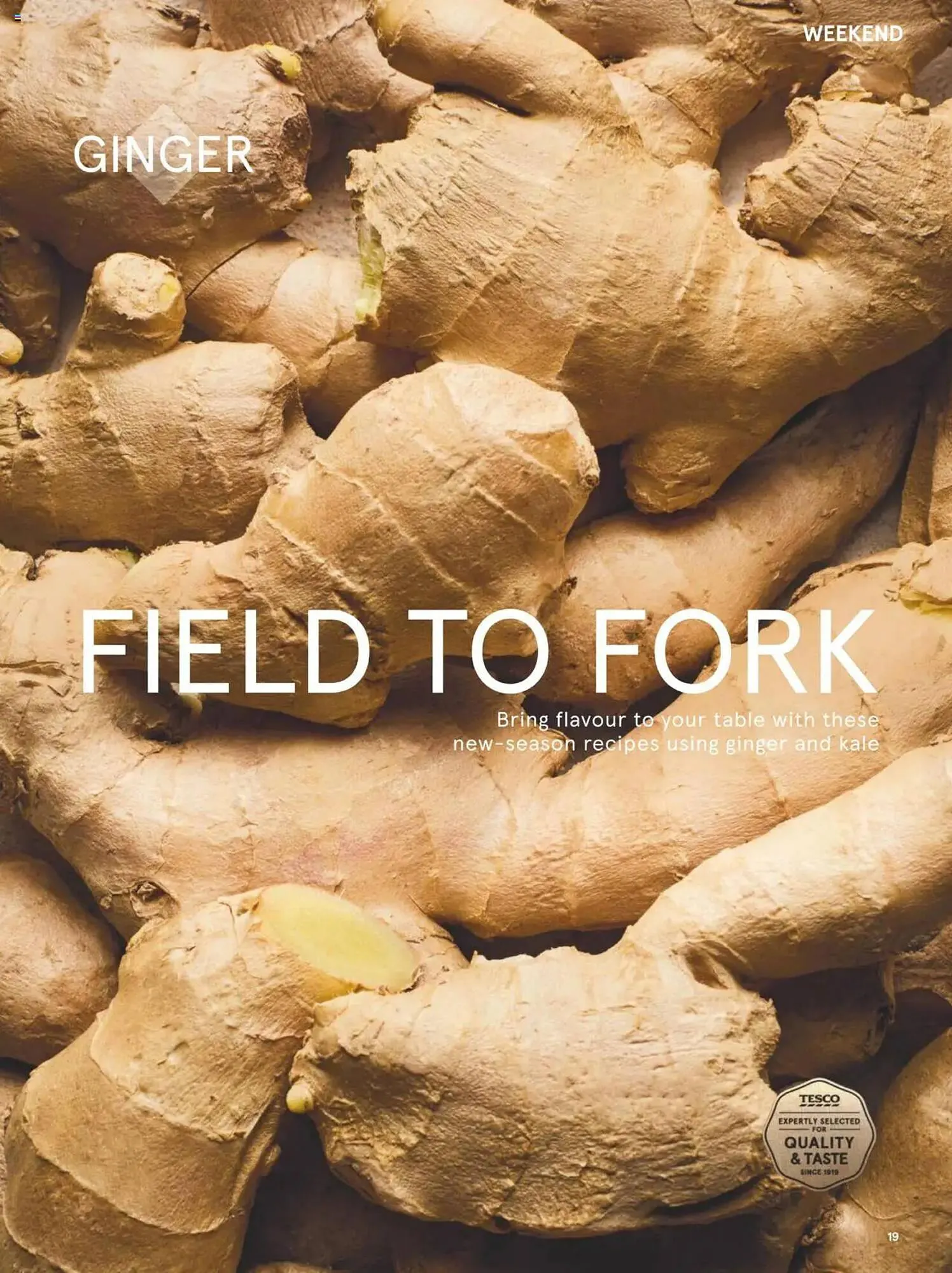 Tesco leaflet from 1 March to 31 March 2025 - Catalogue Page 19