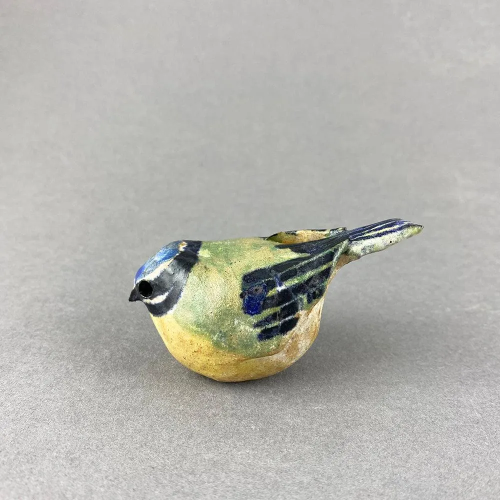 Blue Tit