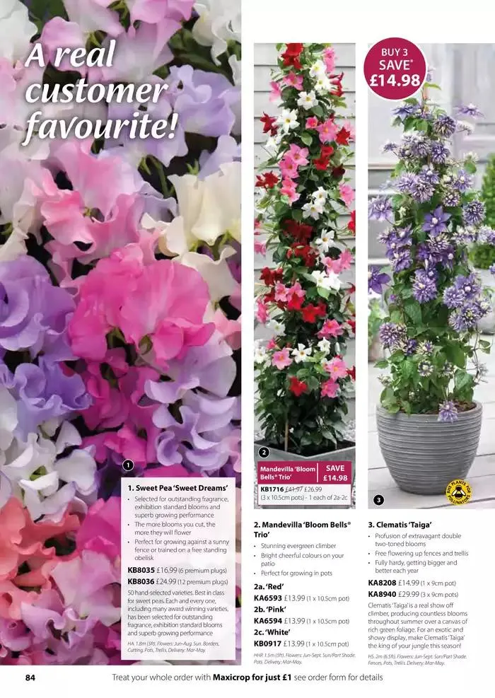 The Spring Catalogue from 20 March to 31 May 2025 - Catalogue Page 84
