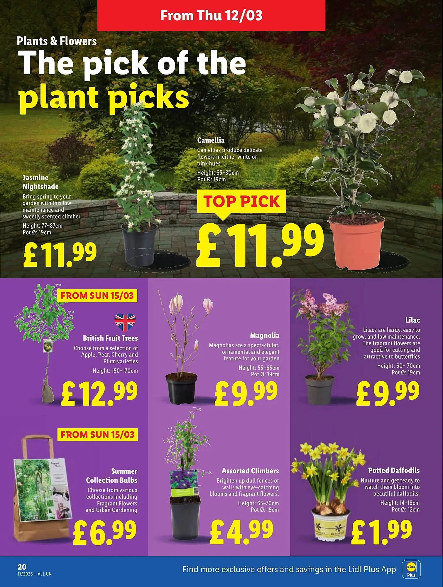 Lidl leaflet from 12 March to 18 March 2026 - Catalogue Page 22