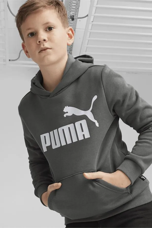 Essentials Big Logo Youth Hoodie
