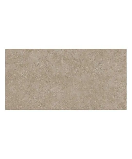 Taupe Tile (59.5cm x 119.5cm)