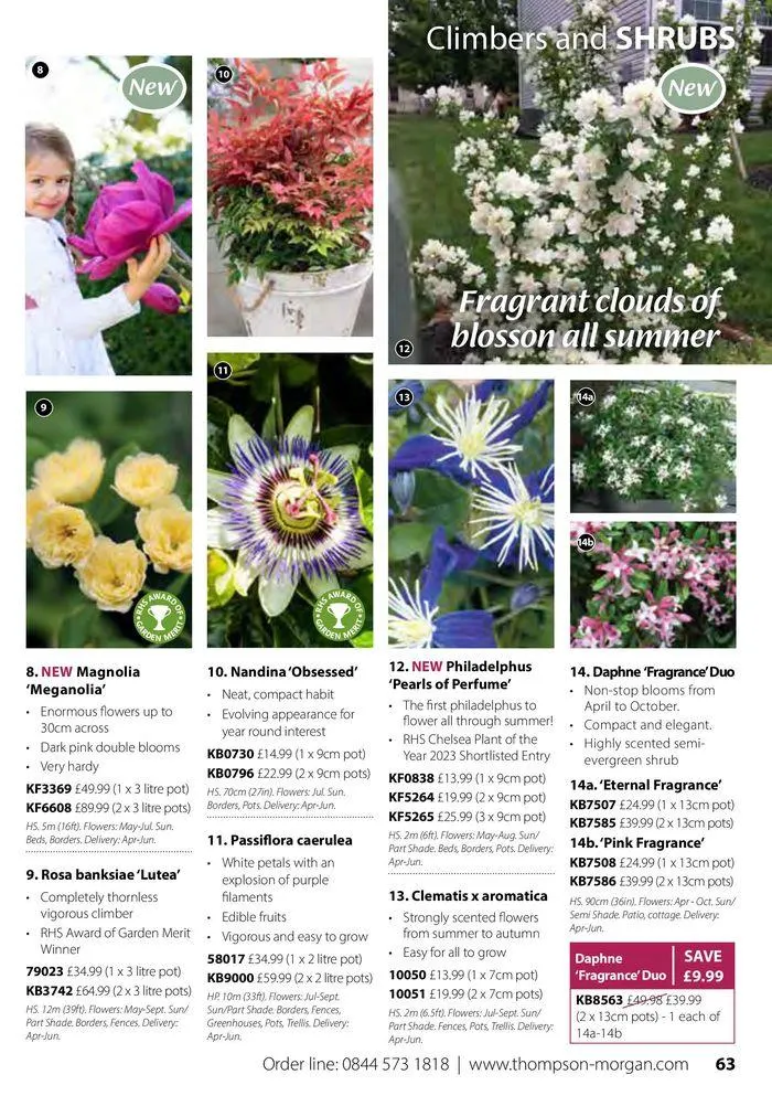 Spring Sale Catalogue from 2 May to 31 May 2024 - Catalogue Page 63