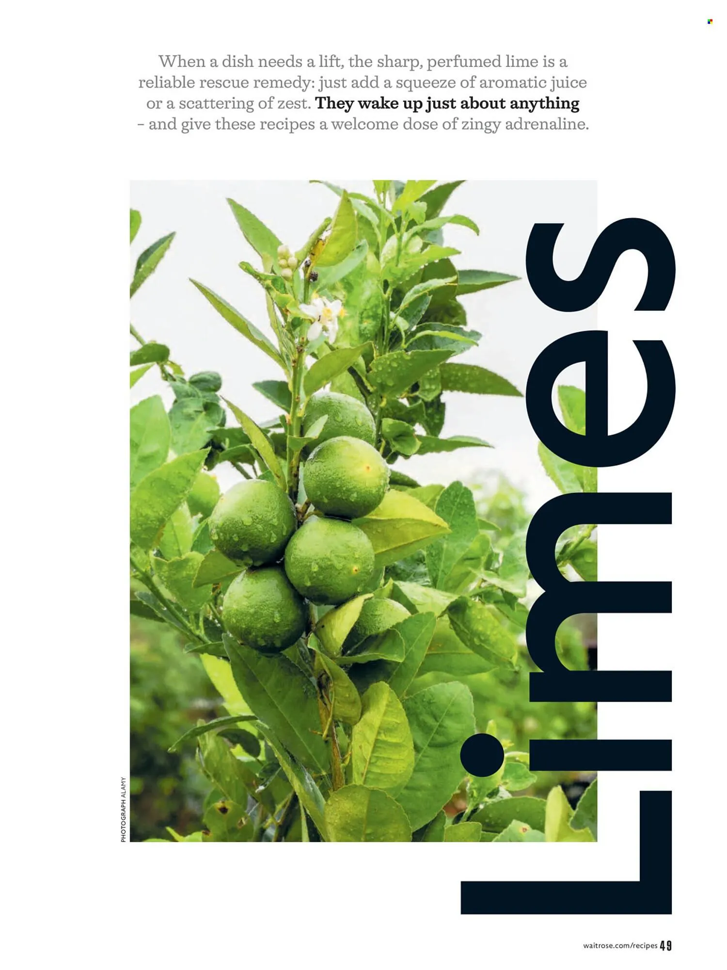 Waitrose catalogue from 1 April to 30 April 2026 - Catalogue Page 49