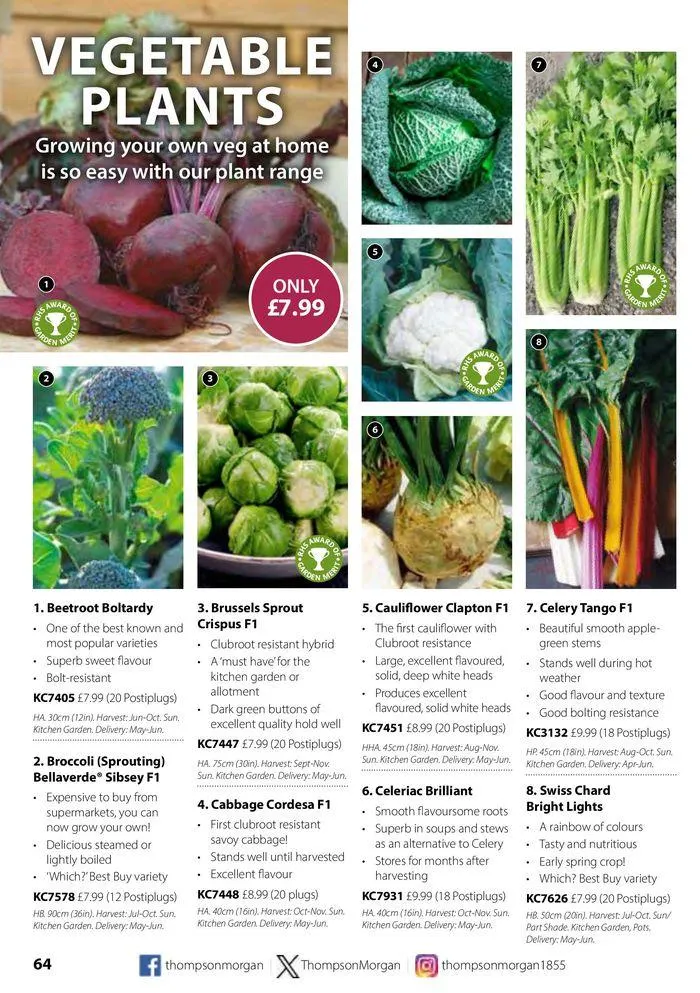 Spring Sale Catalogue from 2 May to 31 May 2024 - Catalogue Page 64