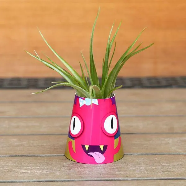Mini Air Plant - Little Monsters