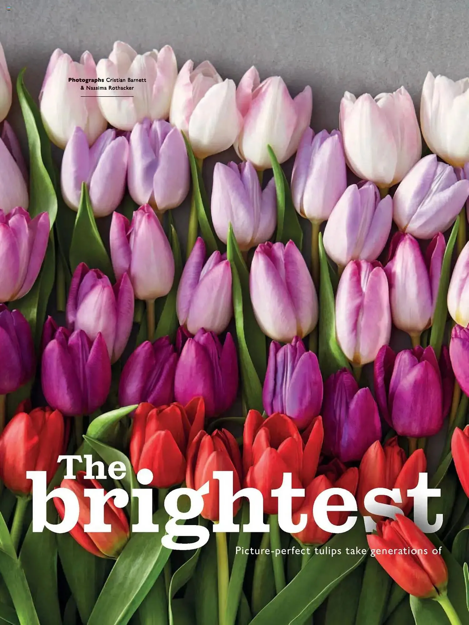 Waitrose leaflet from 26 March to 30 April 2025 - Catalogue Page 66