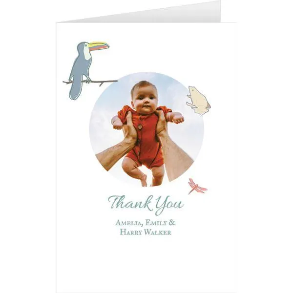 Nursery illustration