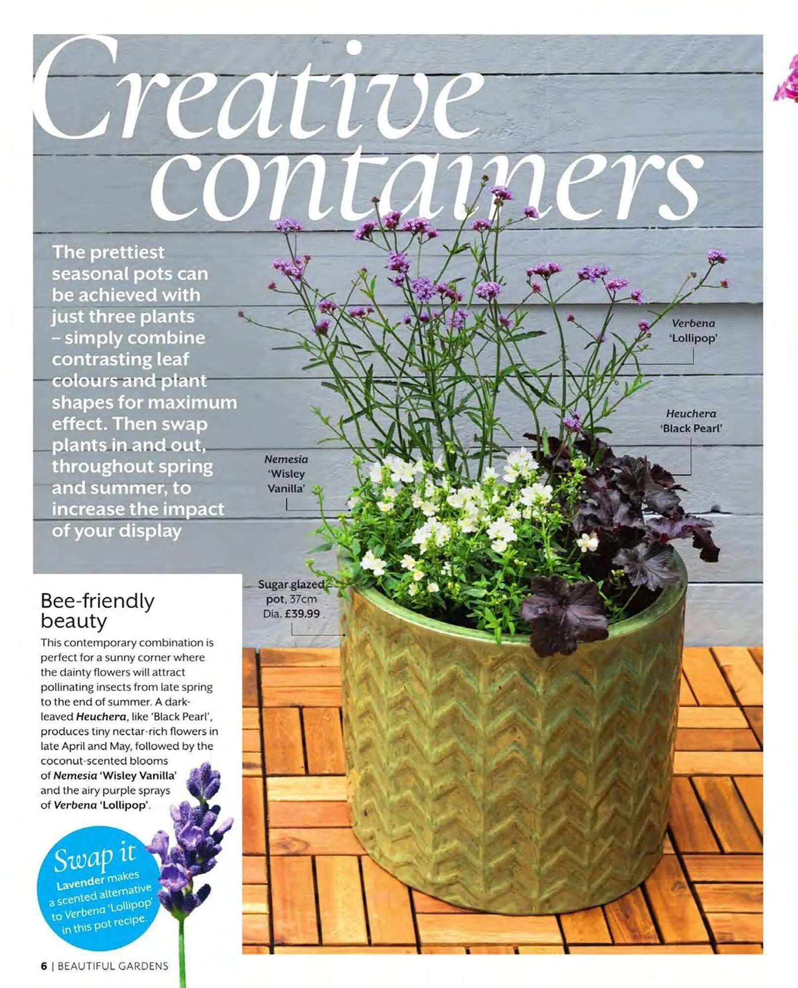 Squires Garden Centres leaflet from 1 March to 31 May 2024 - Catalogue Page 6