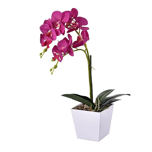 12 Head Butterfly Orchid Flower Foliage (Size 50x12x12 cm) - Purple