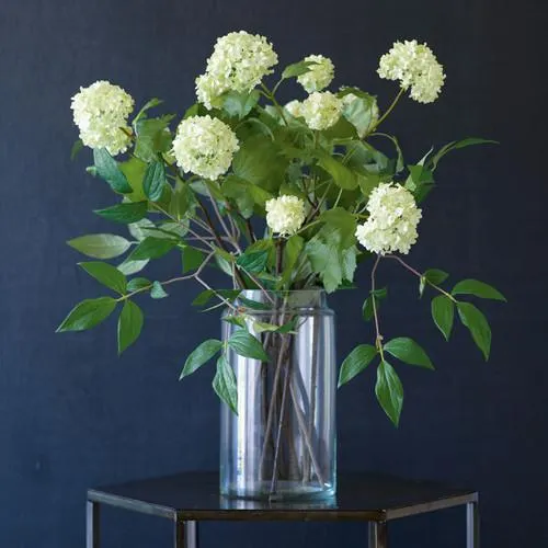 Cream Guelder Rose Branch