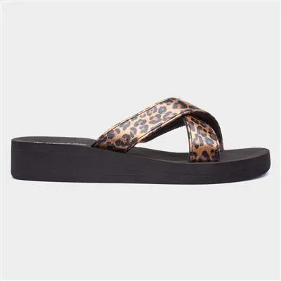 Mindy Womens Black Chocolate Leopard Slider