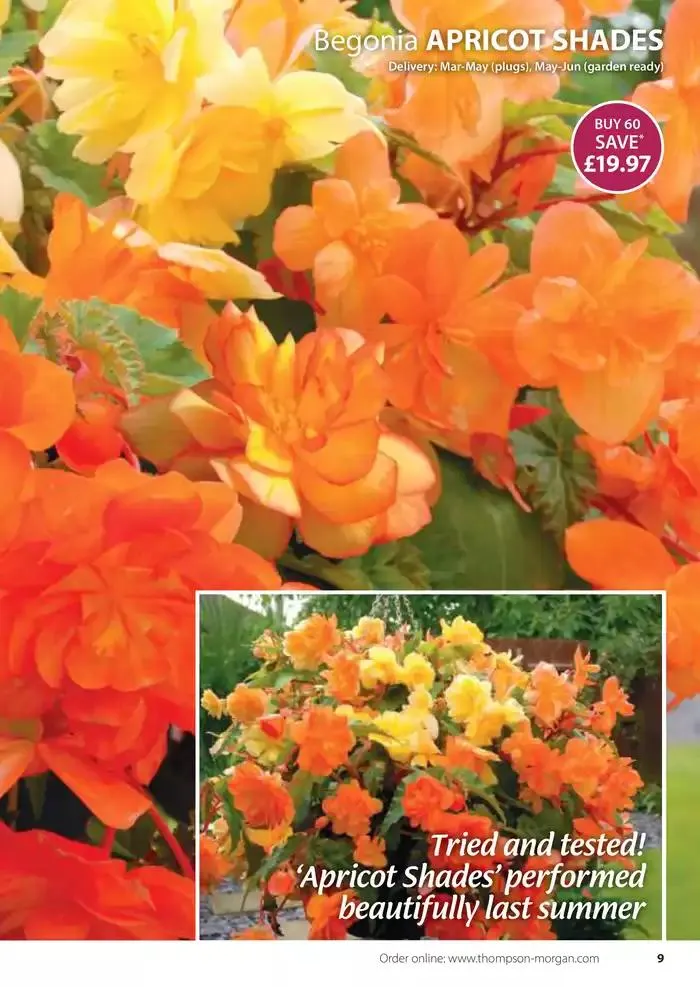 The Spring Catalogue from 20 March to 31 May 2025 - Catalogue Page 9