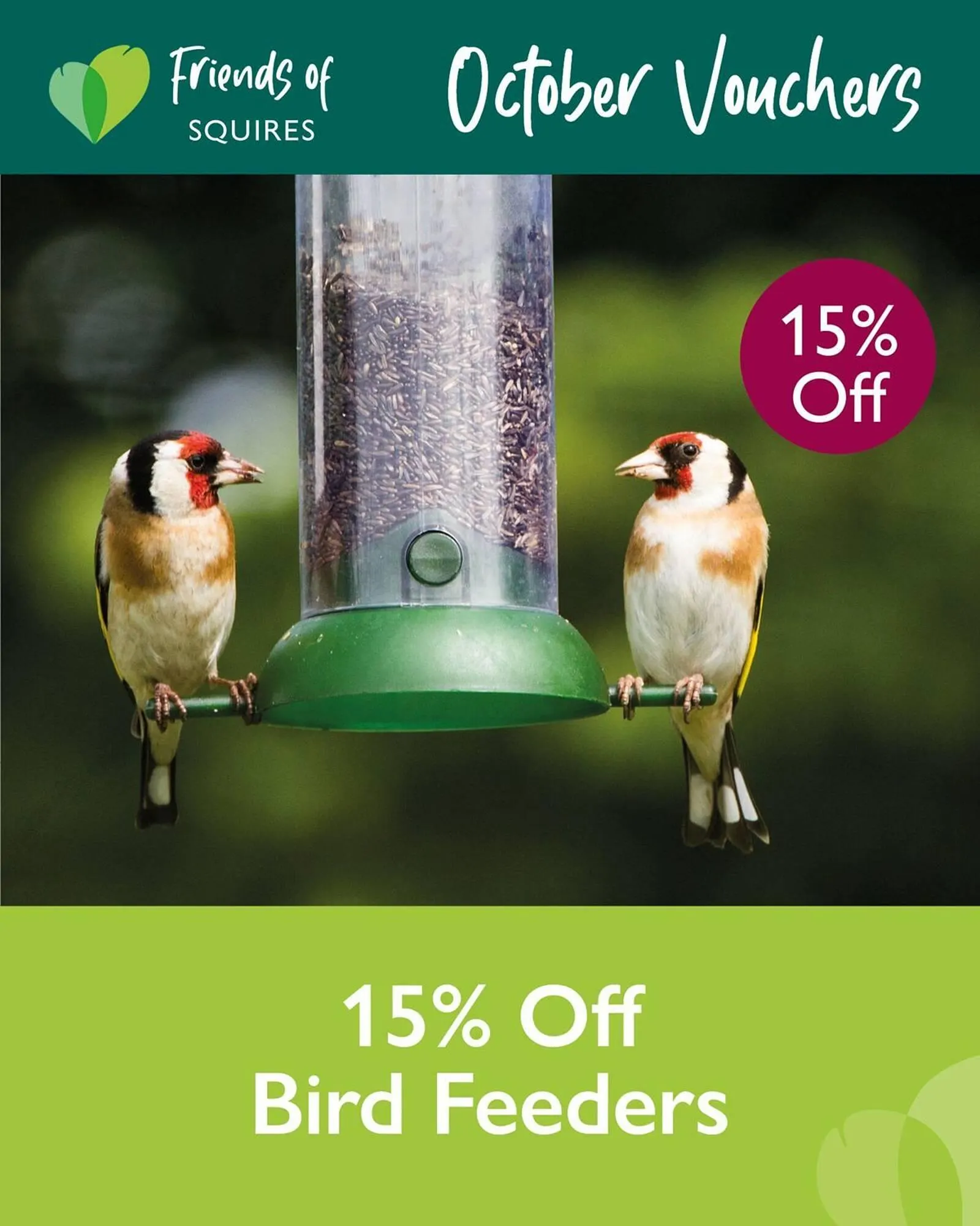 Squires Garden Centres leaflet from 15 October to 15 November 2025 - Catalogue Page 6