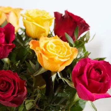 Letterbox Joy and Passion