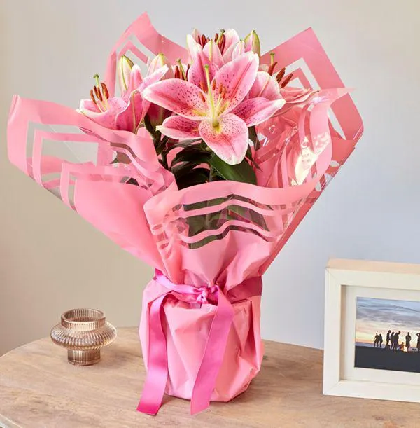 Gift Wrapped Oriental Lily