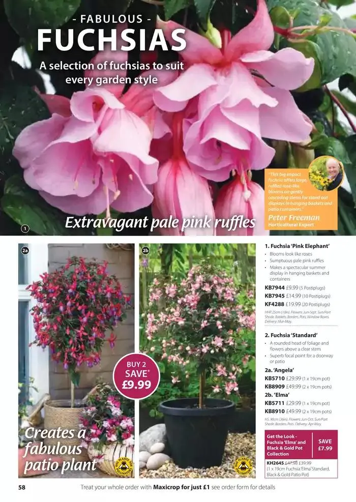 The Spring Catalogue from 20 March to 31 May 2025 - Catalogue Page 58