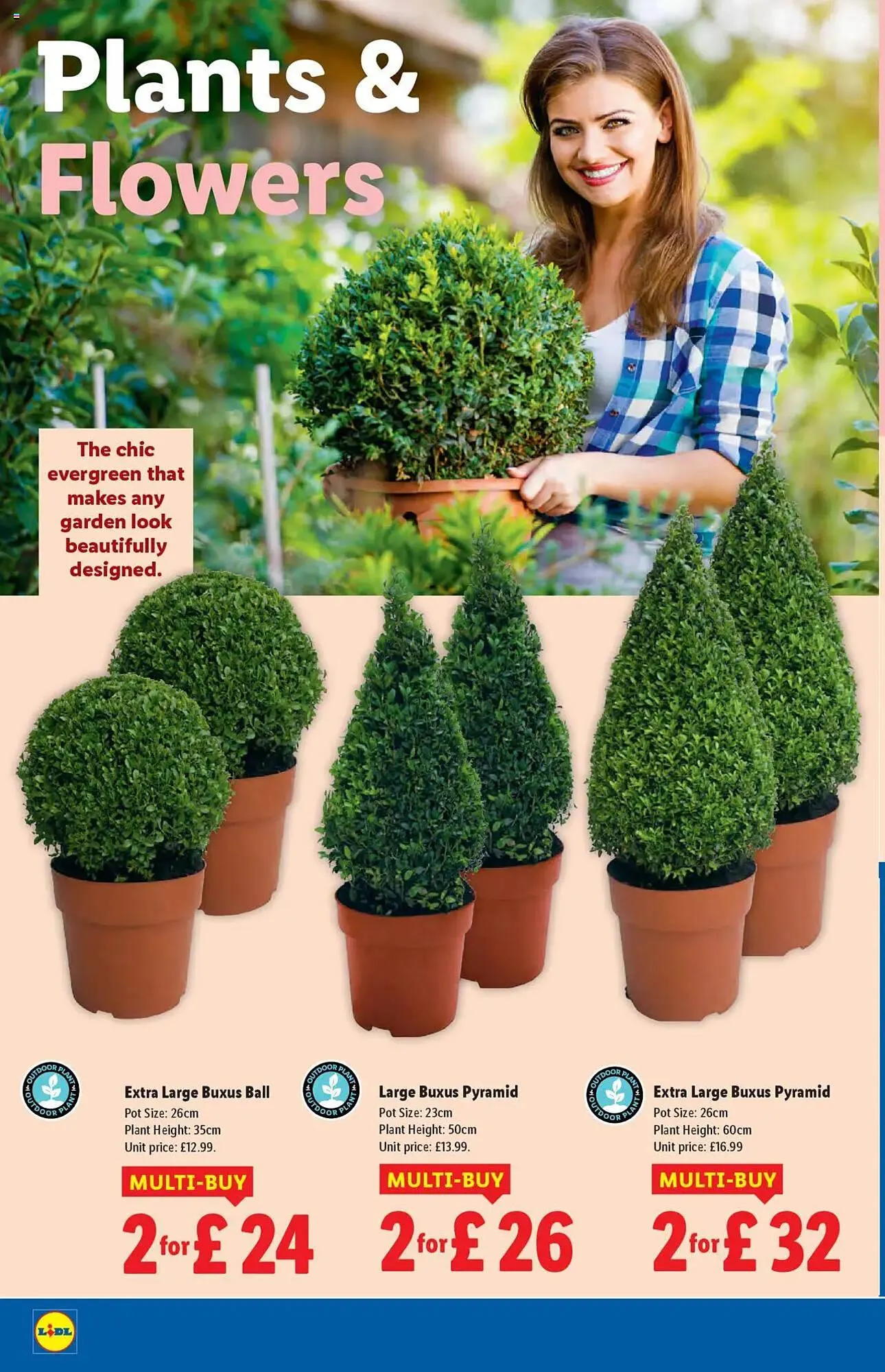 Lidl leaflet from 2 October to 8 October 2025 - Catalogue Page 22