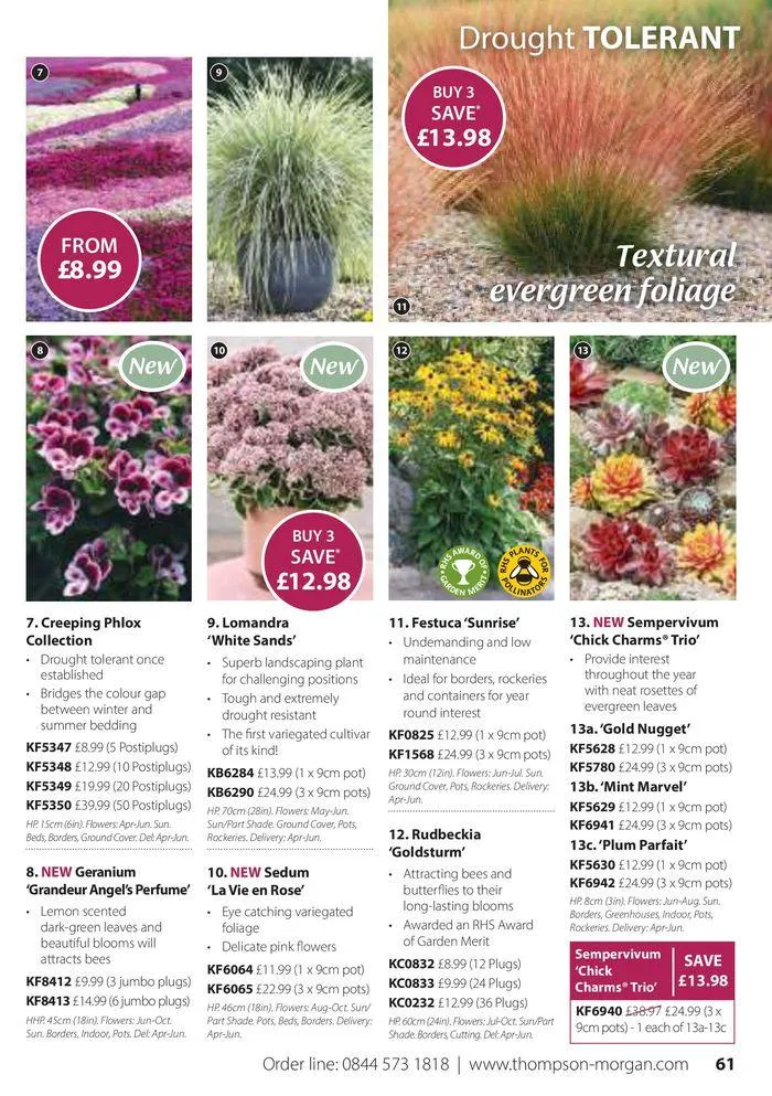 Spring Sale Catalogue from 2 May to 31 May 2024 - Catalogue Page 61