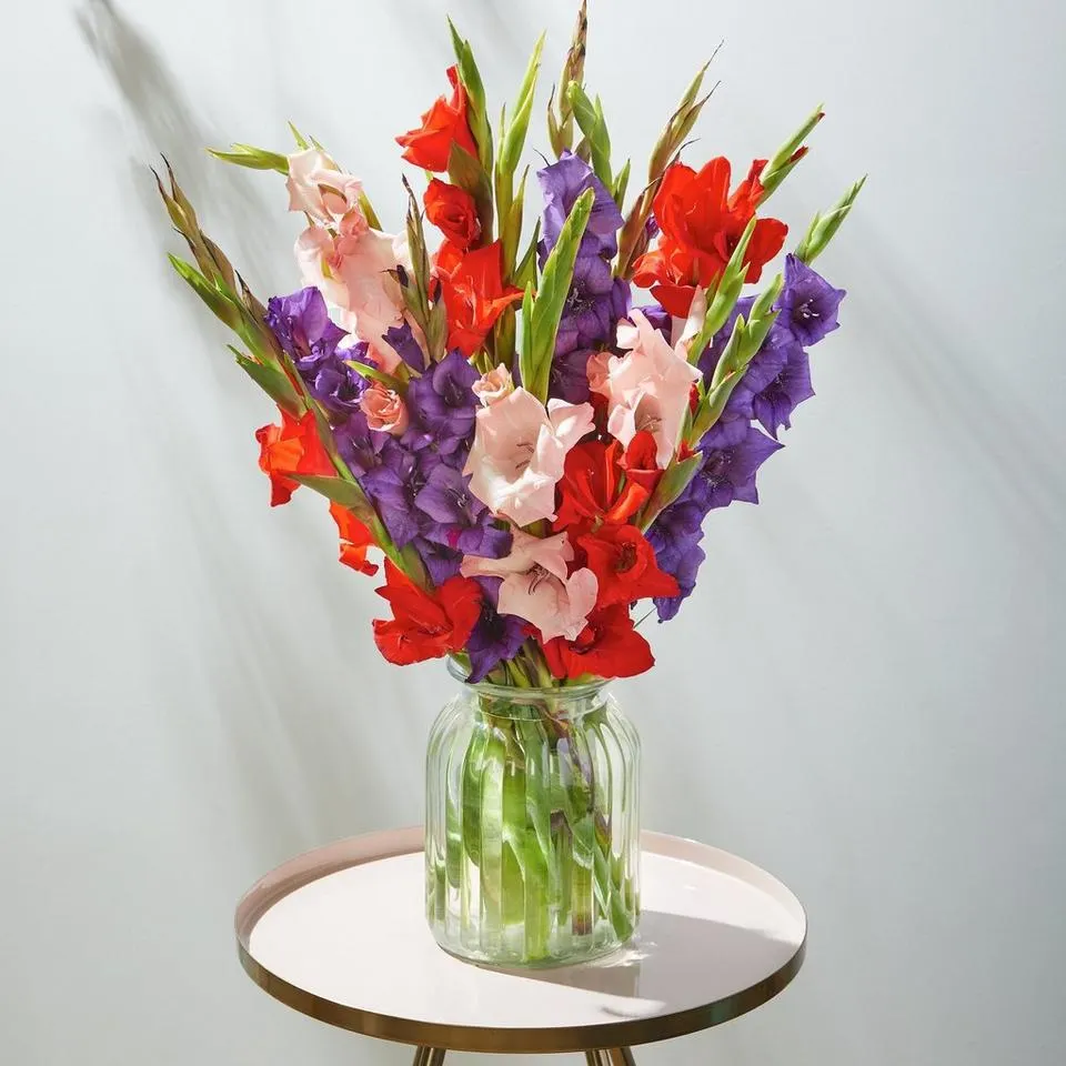 British Gladioli Letterbox