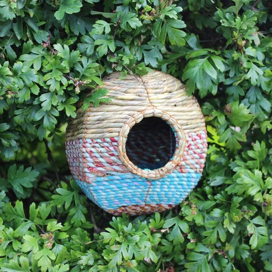 Artisan bird nester Anita