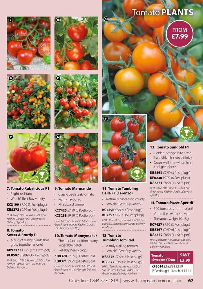 Spring Sale Catalogue from 2 May to 31 May 2024 - Catalogue Page 67