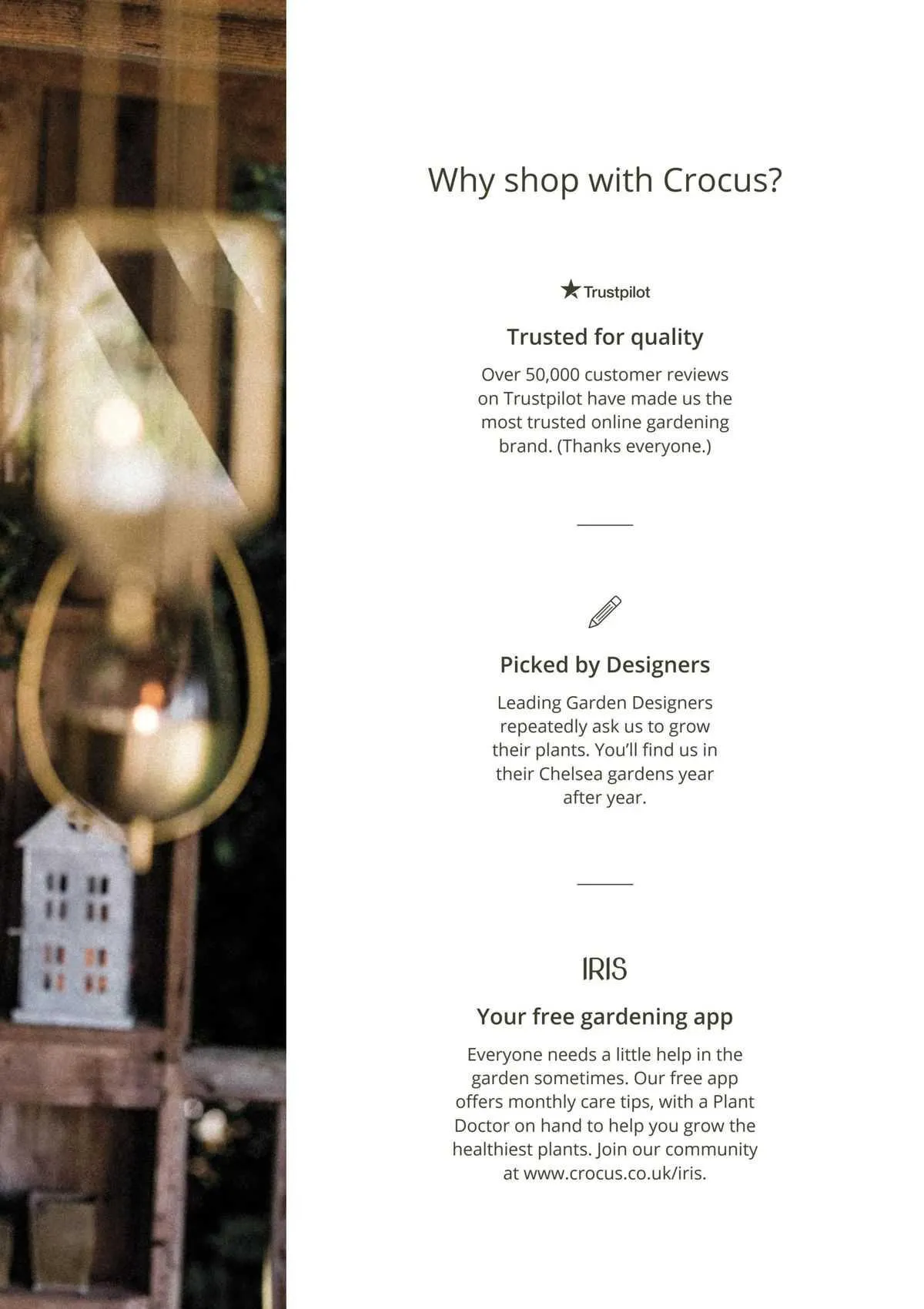 Crocus Catalog from 2 November to 25 December 2023 - Catalogue Page 39