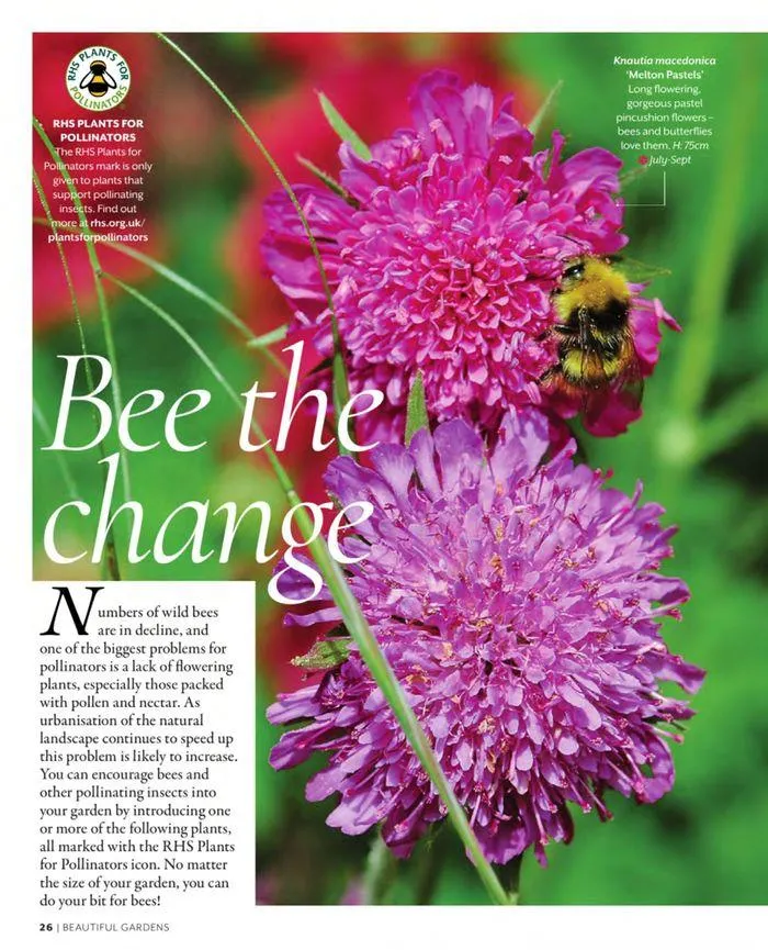 Spring 2024 from 11 March to 31 May 2024 - Catalogue Page 26