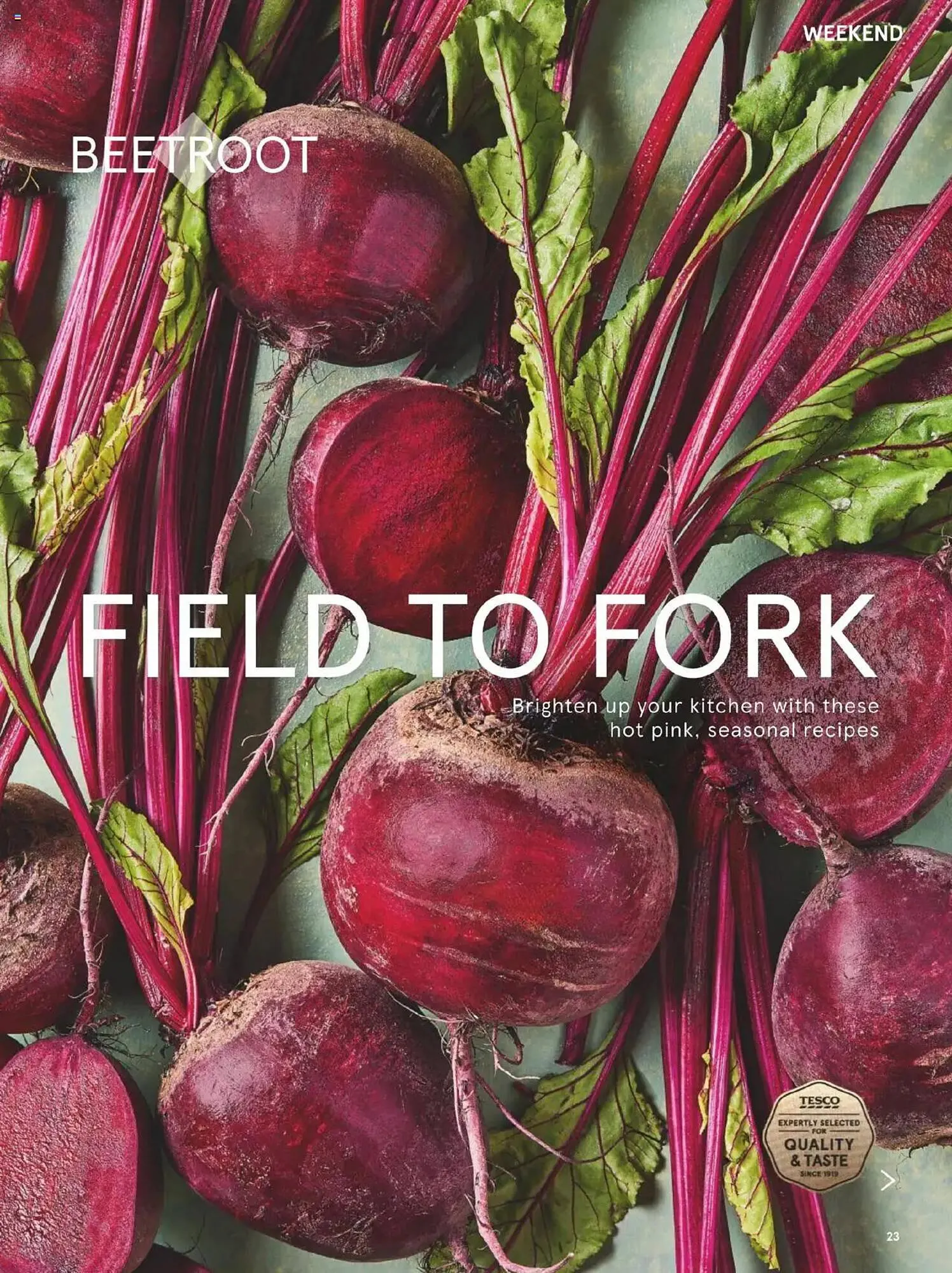 Tesco leaflet from 1 September to 1 October 2025 - Catalogue Page 23