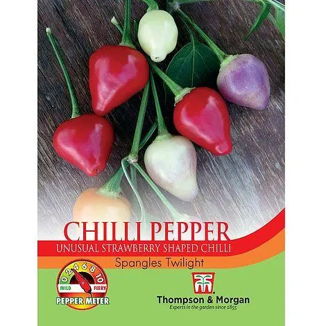 Chilli Pepper 'Spangles Twilight' - Seeds