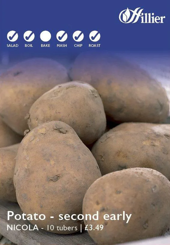 Nicola Seed Potatoes