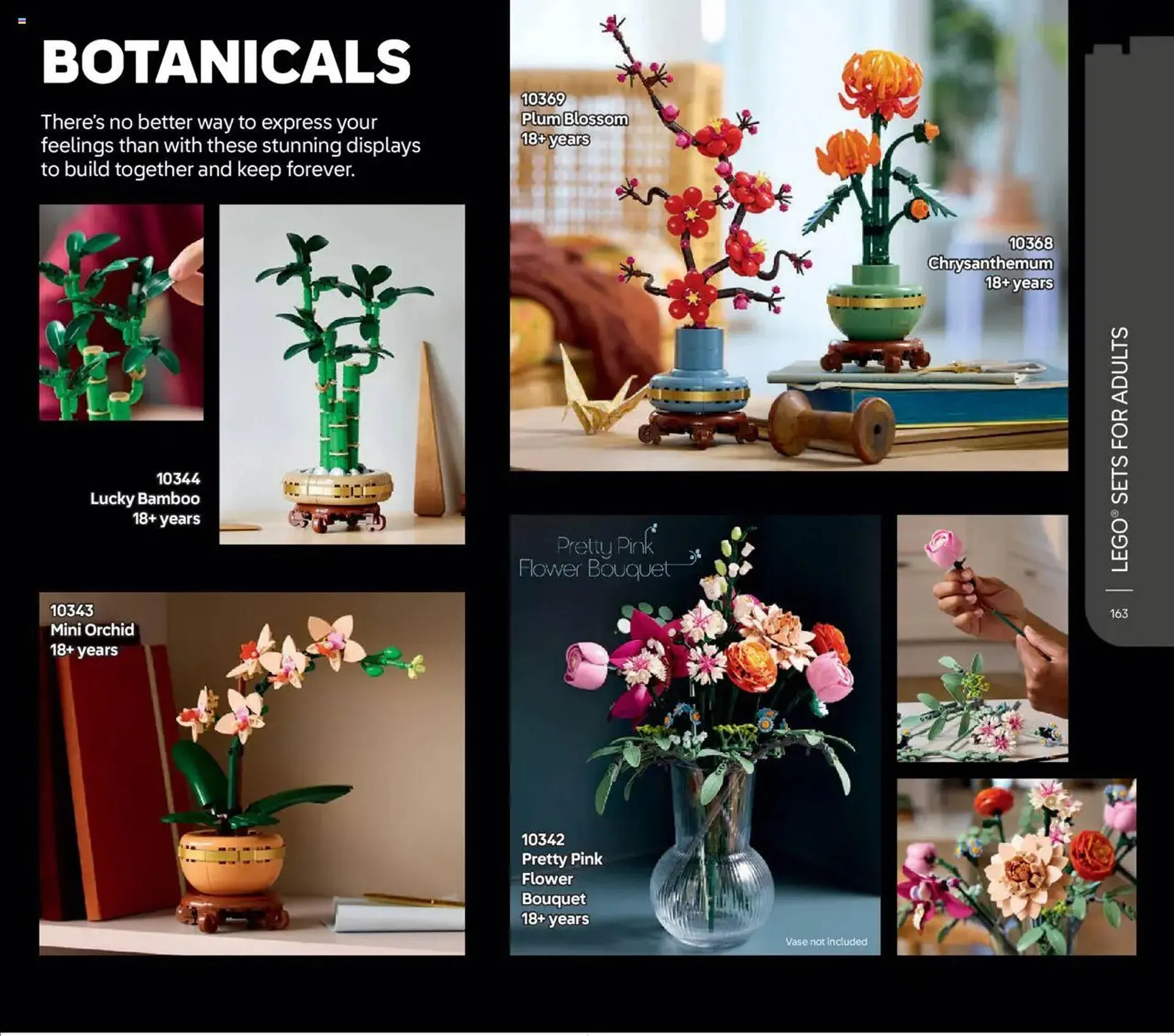 LEGO Shop leaflet from 2 January to 30 June 2025 - Catalogue Page 165