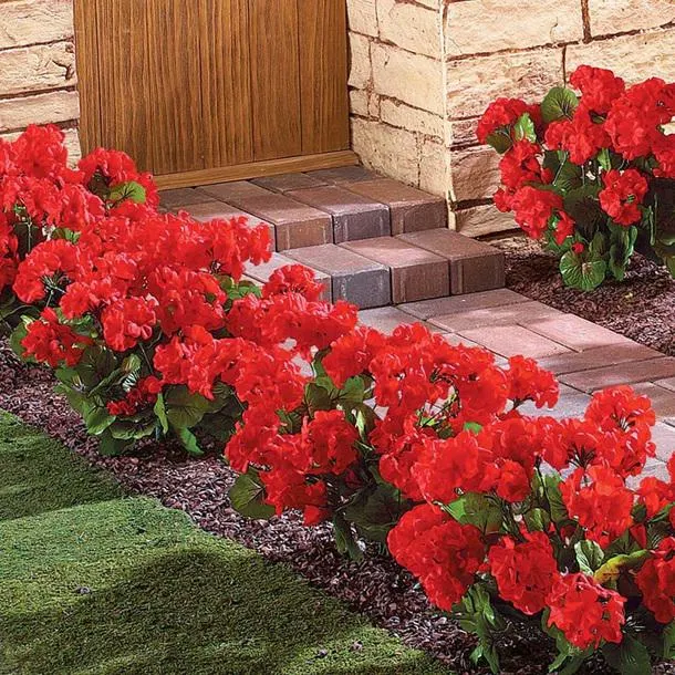 Triple-Flowered Faux Geraniums (Pack of 3)